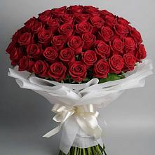 101 Красная роза Блэк Мэджик в Костроме Букет 101 Красная роза Блэк Мэджик в Костроме
