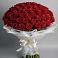 Букет 101 Красная роза Блэк Мэджик в Костроме