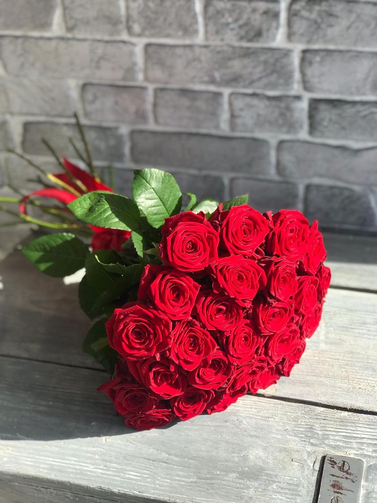 Красные розы Фридом в Костроме Букет Красные розы Фридом в Костроме