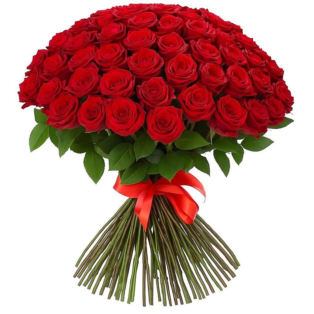 Красные розы Блэк Меджик в Костроме Букет Красные розы Блэк Меджик в Костроме