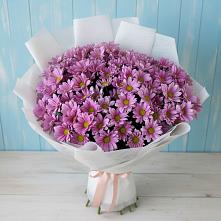 Букет сиреневая охапка в Костроме Букет цветов из:  Хризантемы в Костроме
