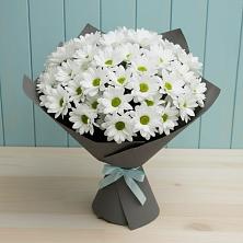 Букет белые хризантемы в Костроме Букет цветов из:  Хризантемы в Костроме