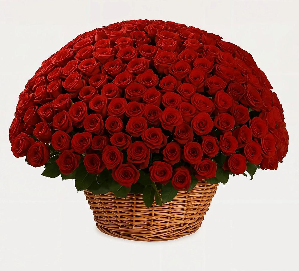 251 Премиум красная роза в Костроме Премиум букет из: Розы в Костроме