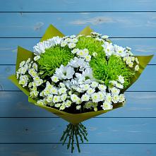 Букет скромность  в Костроме Букет цветов из:  Хризантемы в Костроме