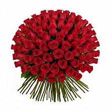 Красные розы Чери Лав в Костроме Букет Красные розы Чери Лав в Костроме