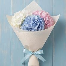 Букет цветов из:  Гортензия в Костроме
