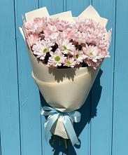 Букет Розовые хризантемы в Костроме Букет цветов из:  Хризантемы в Костроме
