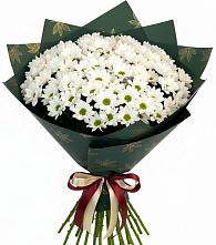Букет море ромашек в Костроме Букет цветов из:  Хризантемы в Костроме
