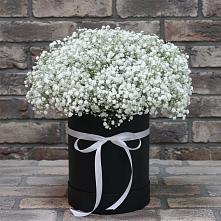 Композиция коробка гипсофил #REPLACE_PRED# Костроме Цветочная композиция из Гипсофила в шляпной коробке #REPLACE_PRED# Костроме