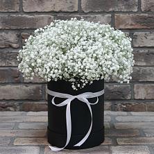 Композиция коробка гипсофил в Костроме Цветочная композиция из Гипсофила в шляпной коробке в Костроме