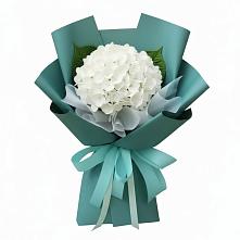Букет цветов из:  Гортензия #REPLACE_PRED# Костроме
